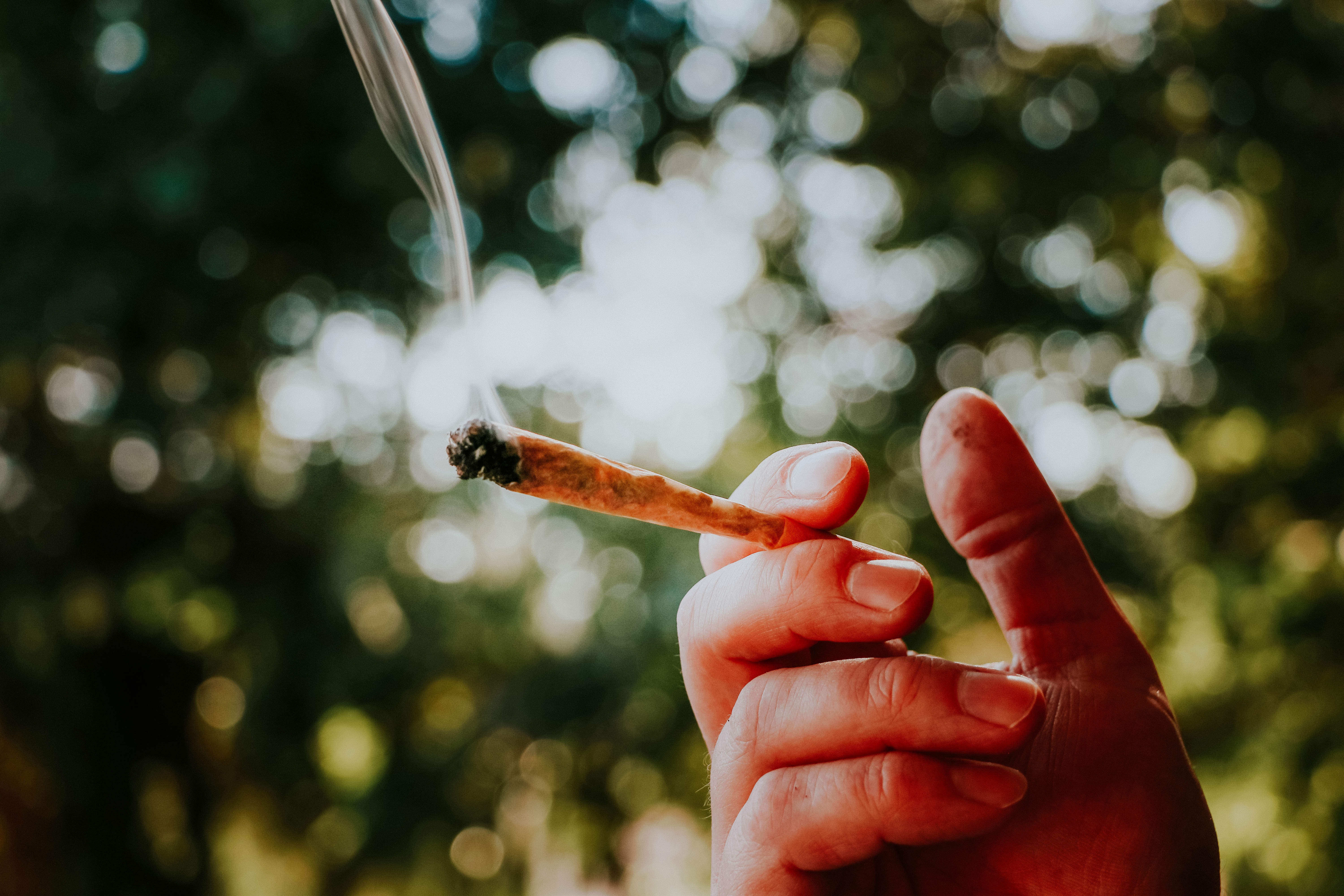 Photo of hand holding a marijuana cigarette.