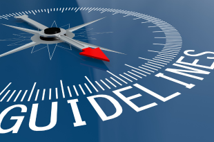 A compass is illustrated in white on a blue background. The word "guidelines" is displayed underneath it.